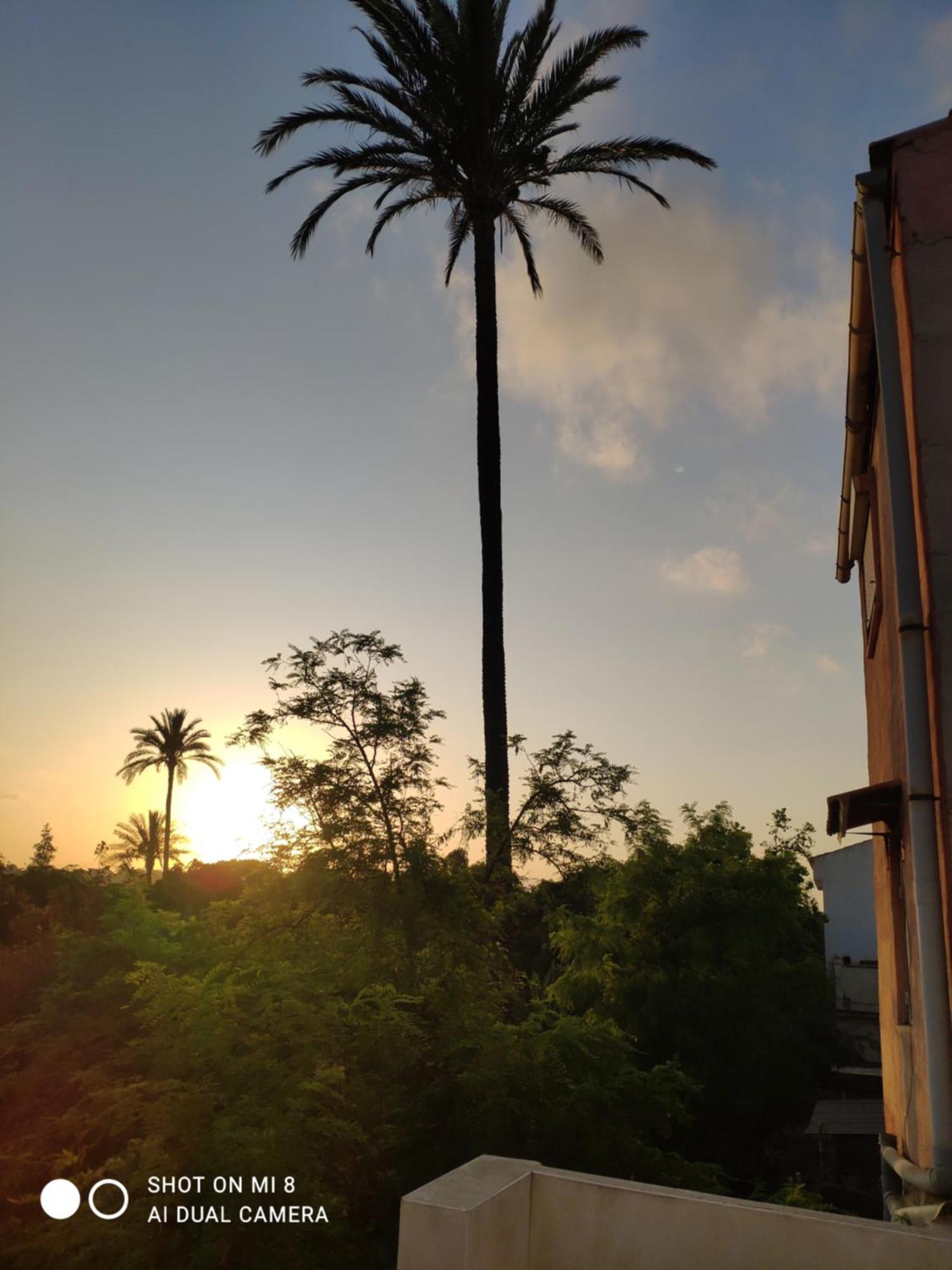 Apartamento En Alicante La Casa Azul Santa Faz Exteriör bild